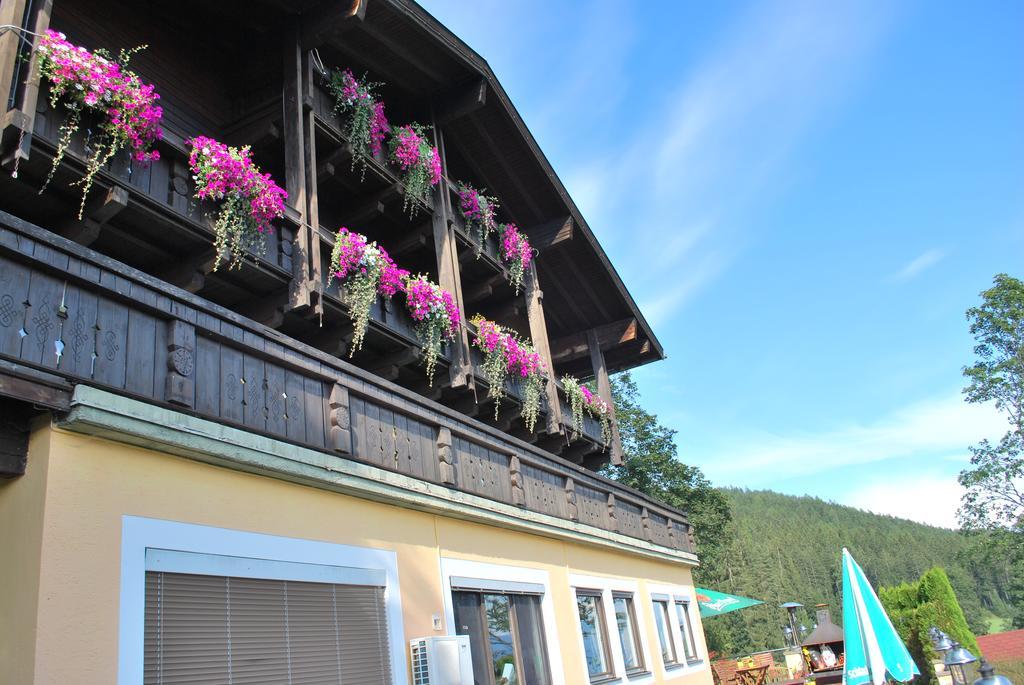 Pension Savisalo Ramsau am Dachstein Extérieur photo